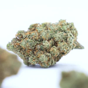 Flores CBD | AMNESIA HAZE - 1g