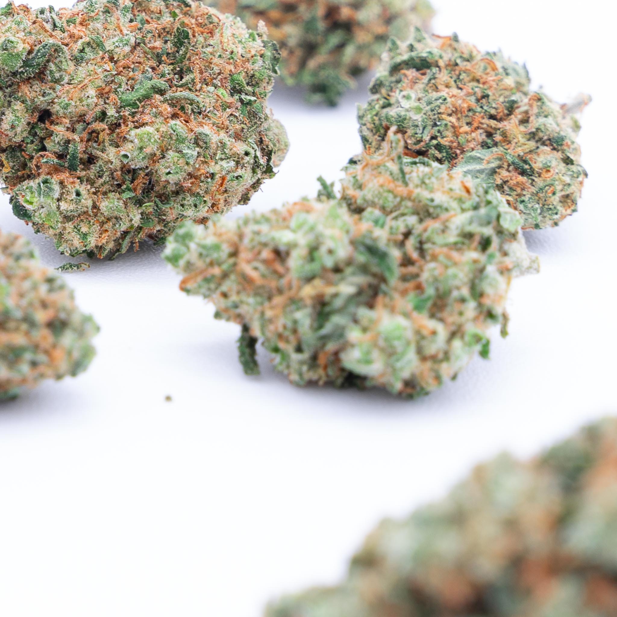 Flores CBD | GELATO 33 - Imagen 2