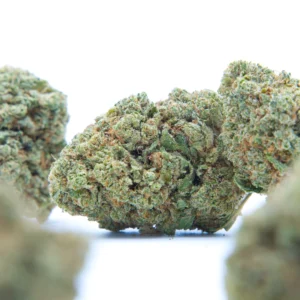 Flores CBD | BUBBLE GUM