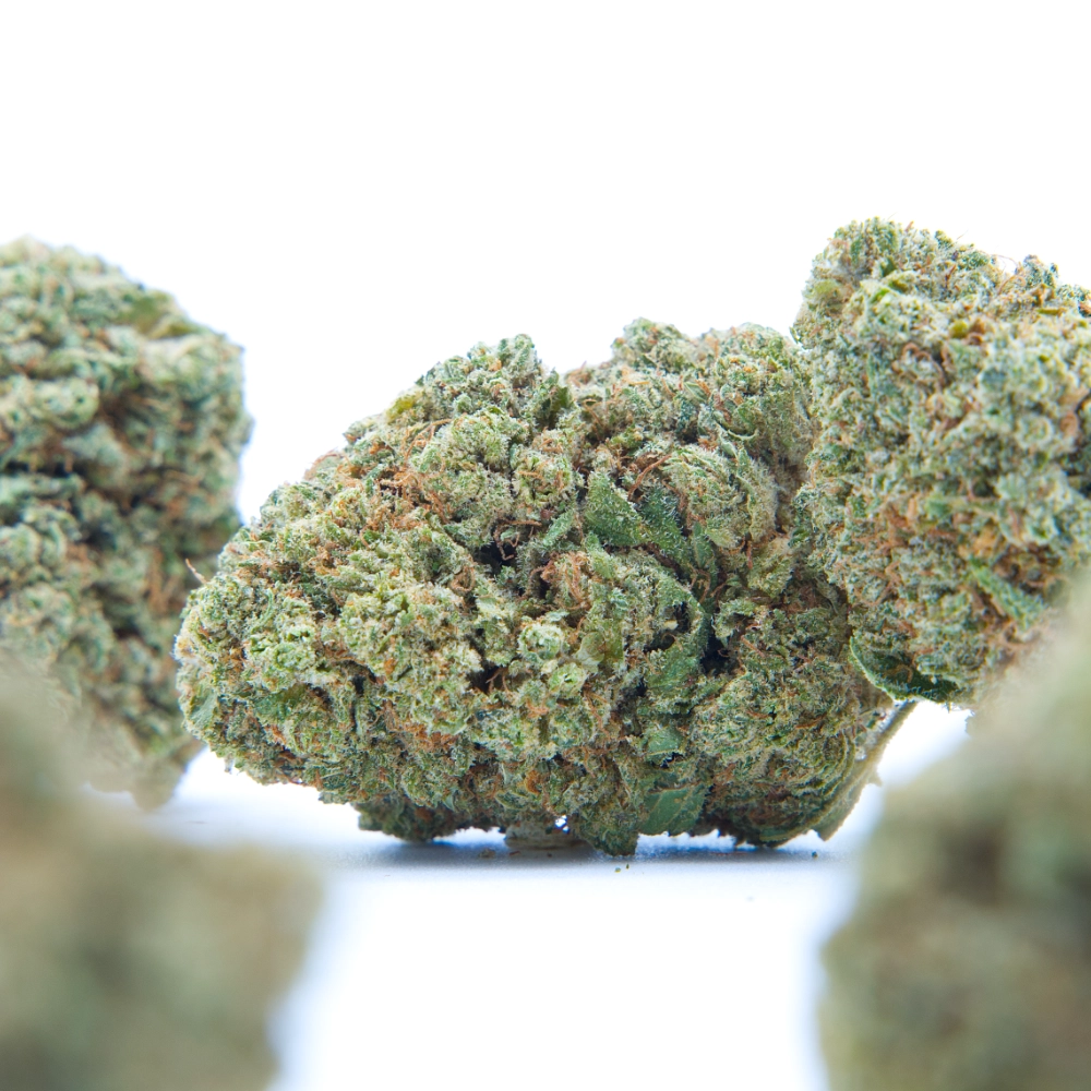 Flores CBD | BUBBLE GUM