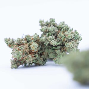 Flores CBD | SUNSET SHERBET - 1g