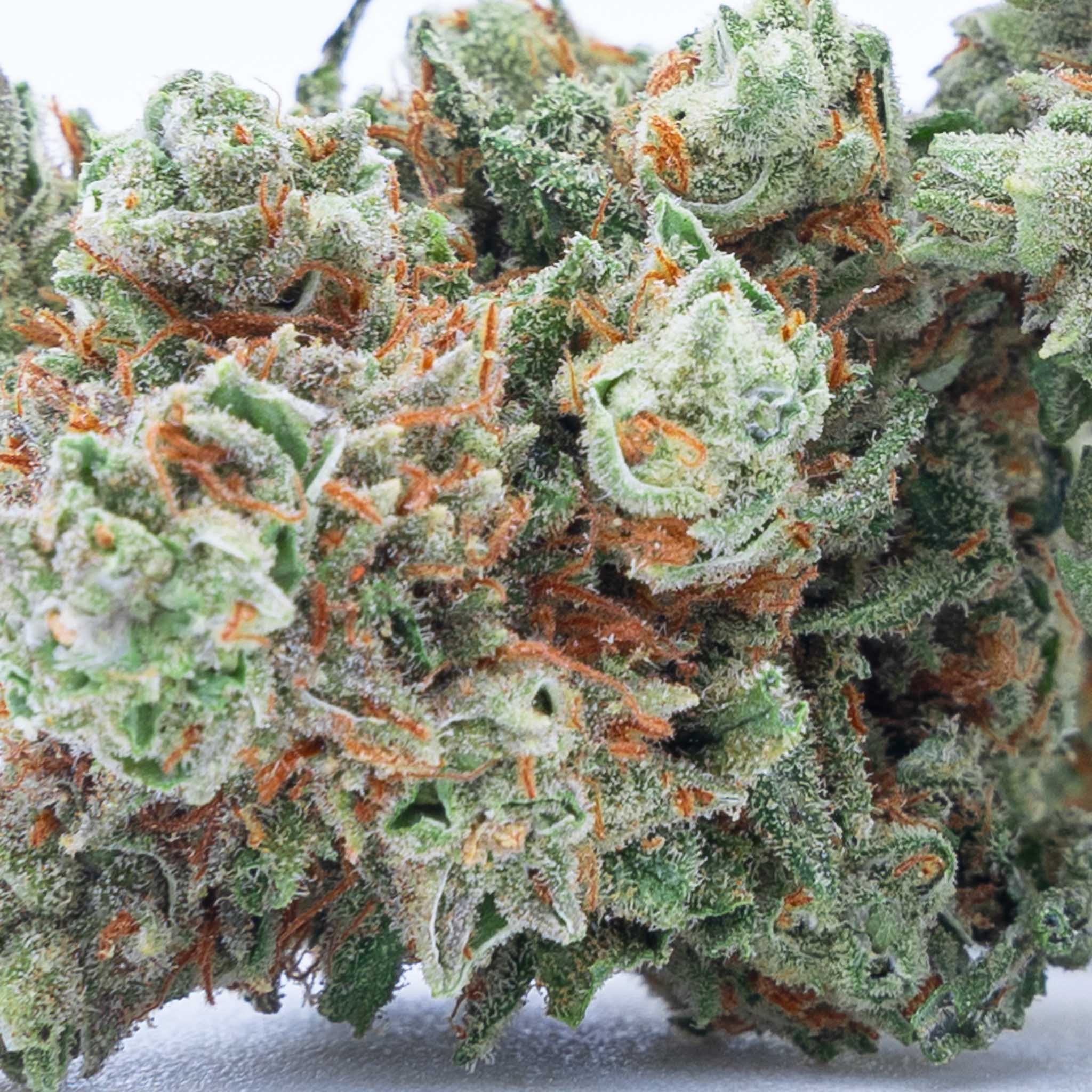 Flores CBD | SUNSET SHERBET - Imagen 2